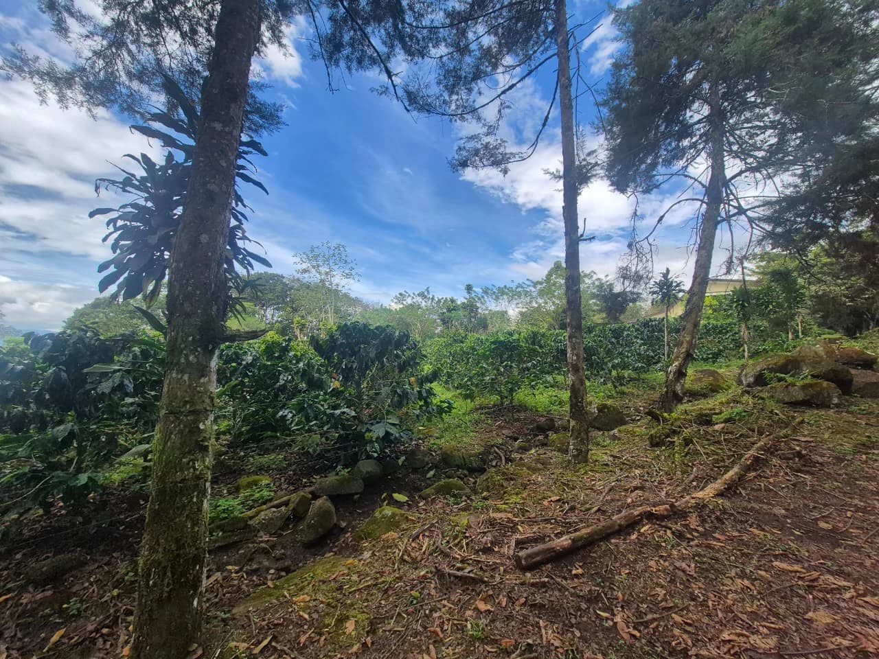 Countryside Home Construction Site For Sale in Santa Elena de San Isidro - photo 12