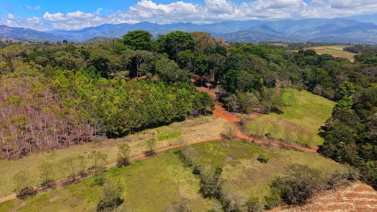 Agricultural Land For Sale in Daniel Flores - photo 10