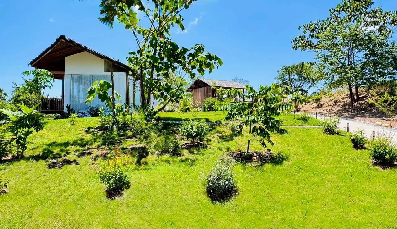 Casa Lilith: $1.39 Million - Luxury Jungle Estate with Guest House in The Ark Community, Santa Teresa Costa Rica - photo 50