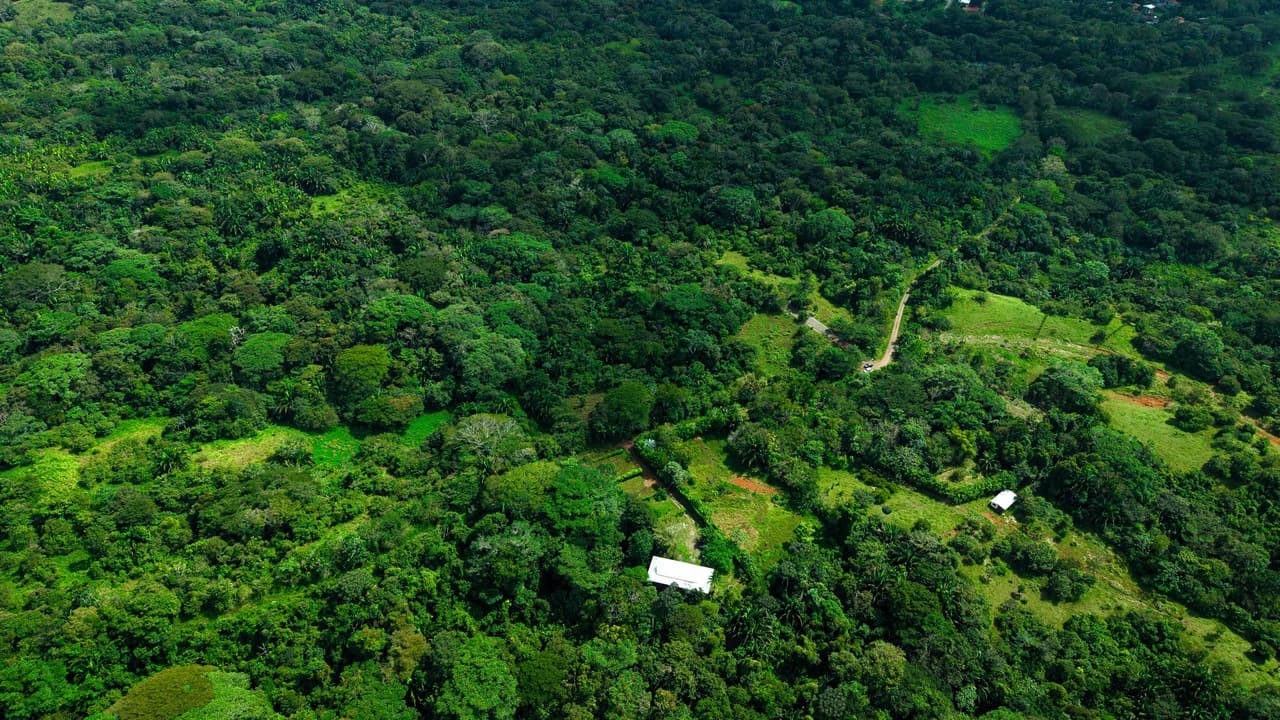4,850 Acre Beachfront Legacy Ranch Esterillos Central Pacific Coast - photo 29