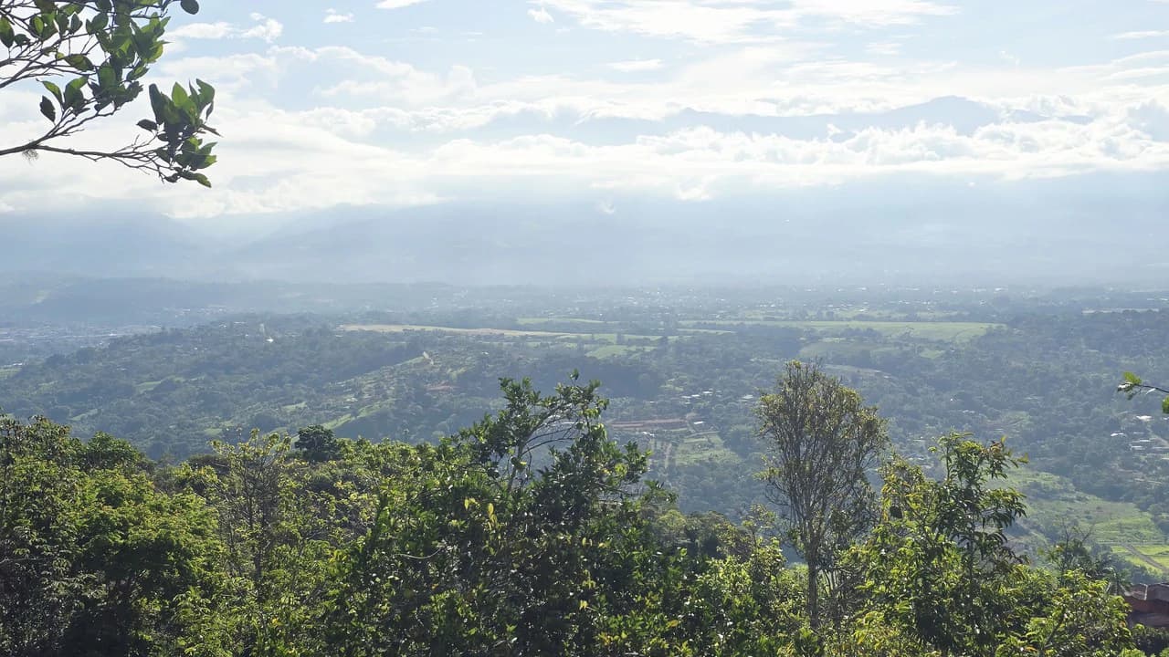 Mountain Agricultural Land For Sale in San Isidro del General - photo 16