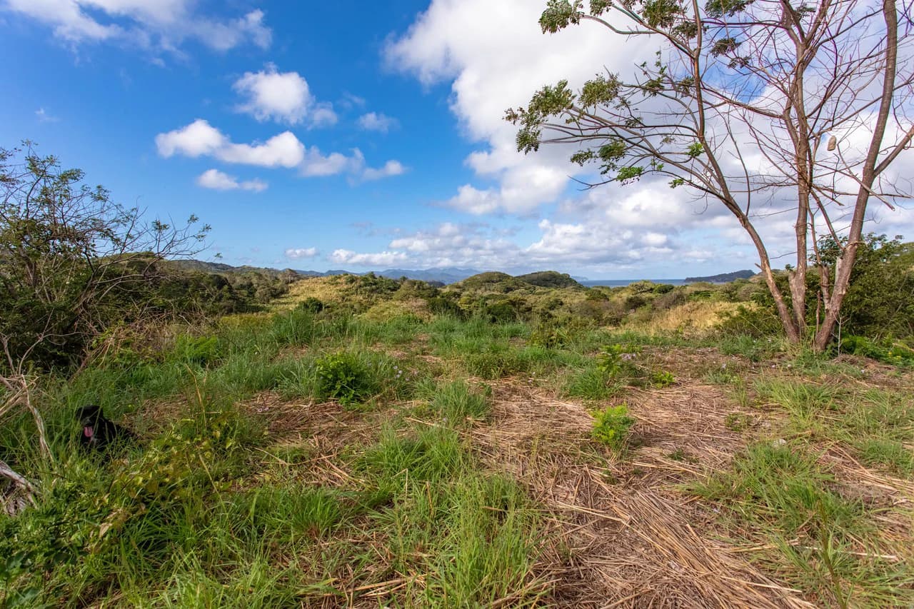 220 Acres Beachside Farm with Ocean View at Playa Junquillal in Guanacaste - photo 12