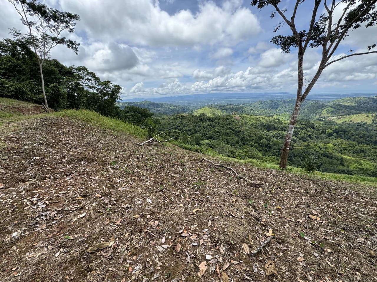 137 Acre Ocean View Farm with Riverfront in Southern Costa Rica - photo 11