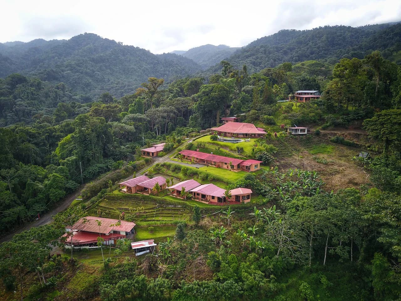 Nepenthe B&B: Hotel / B&B in the Rain Forest with spectacular views of Lake Arenal & Volcano. - photo 19