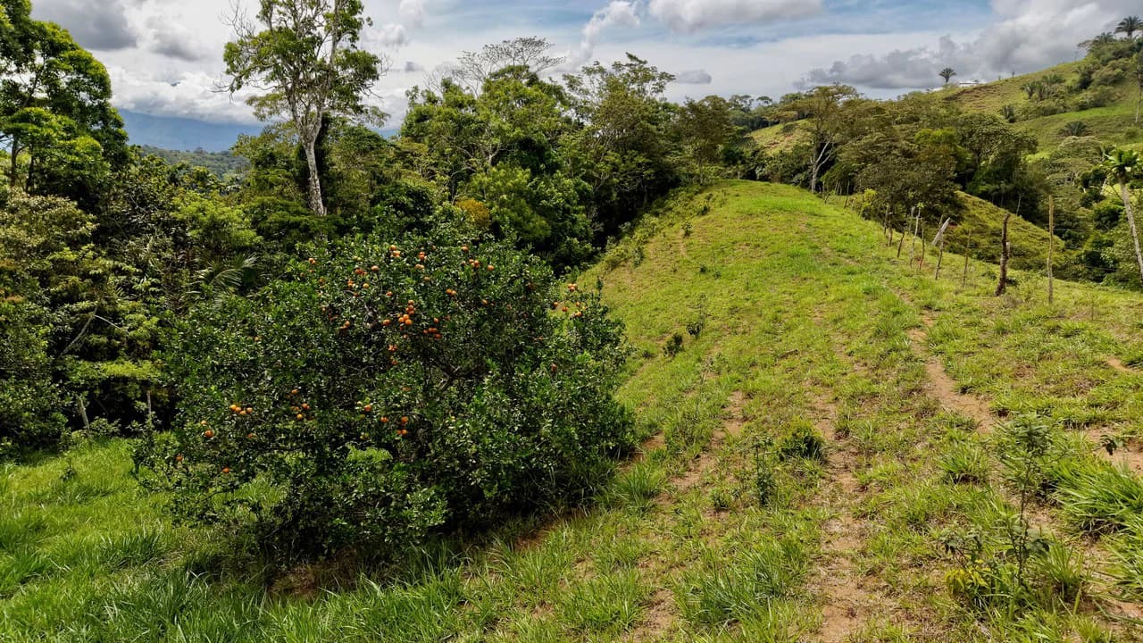 Countryside Home Construction Site For Sale in Centro de Pérez Zeledón - photo 5
