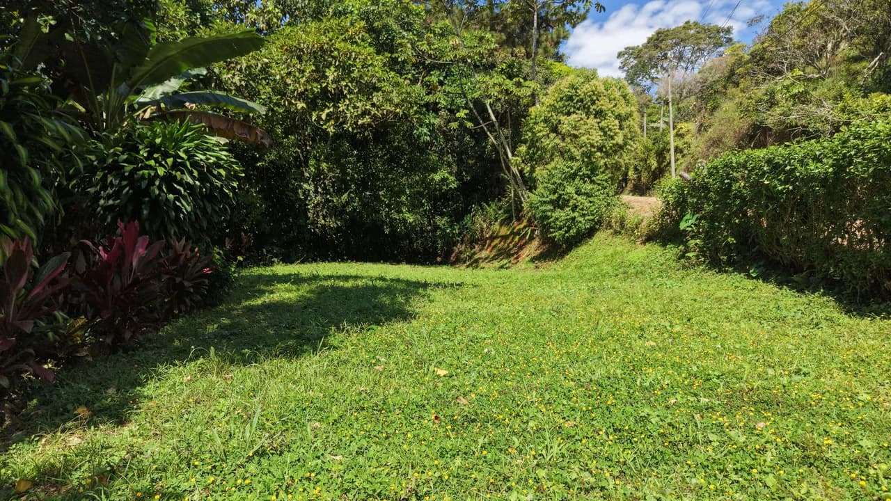 Mountain Home Construction Site For Sale in San Rafael Norte - photo 4