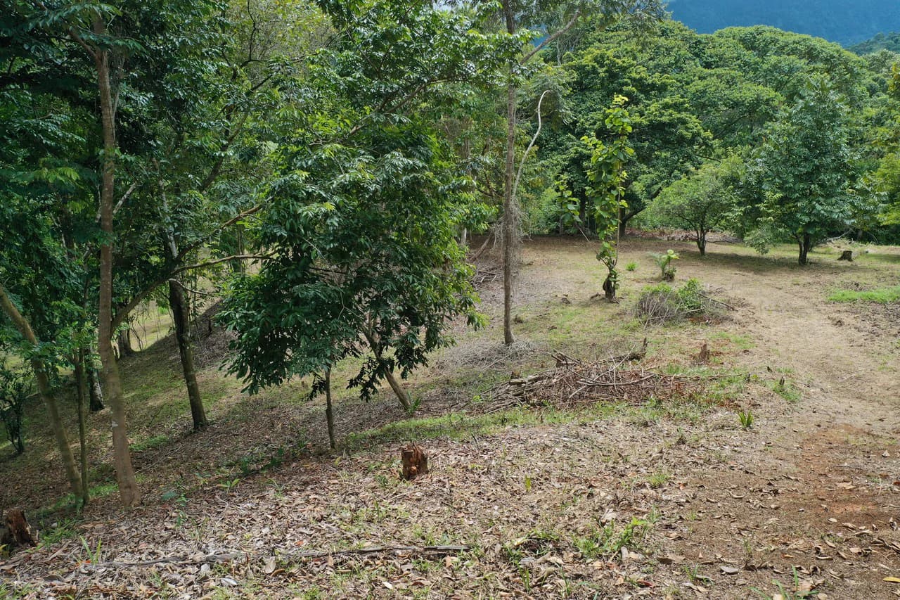 Diamante Waterfall View Land in Dominical 2.9 Acres - photo 5