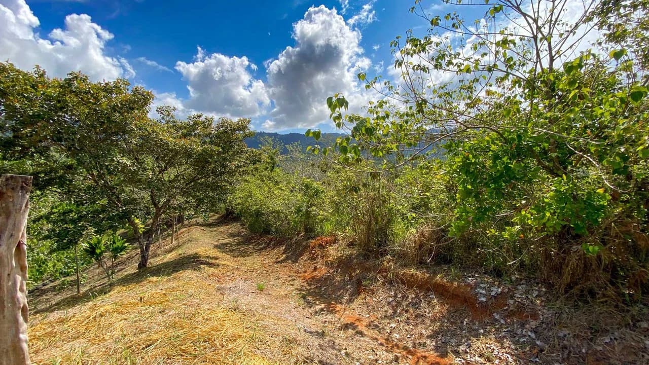 32 Acre Self Sustainable Farm with House Close Ojochal - photo 58