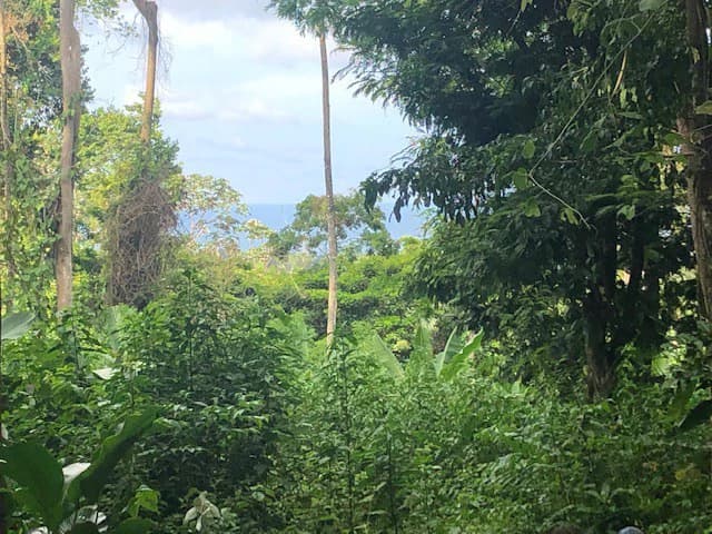 Ocean View, Buildable Lot, Private Paradise Cahuita