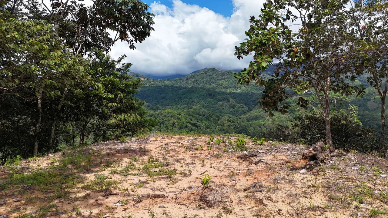 Stunning Ocean, Mountain, and Valley View Property in Tres Rios - photo 20