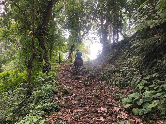 Hot and Cold Thermal Springs for Sale – Beautiful Property in Dos Ríos, Alajuela with Excellent Commercial Potential - photo 63