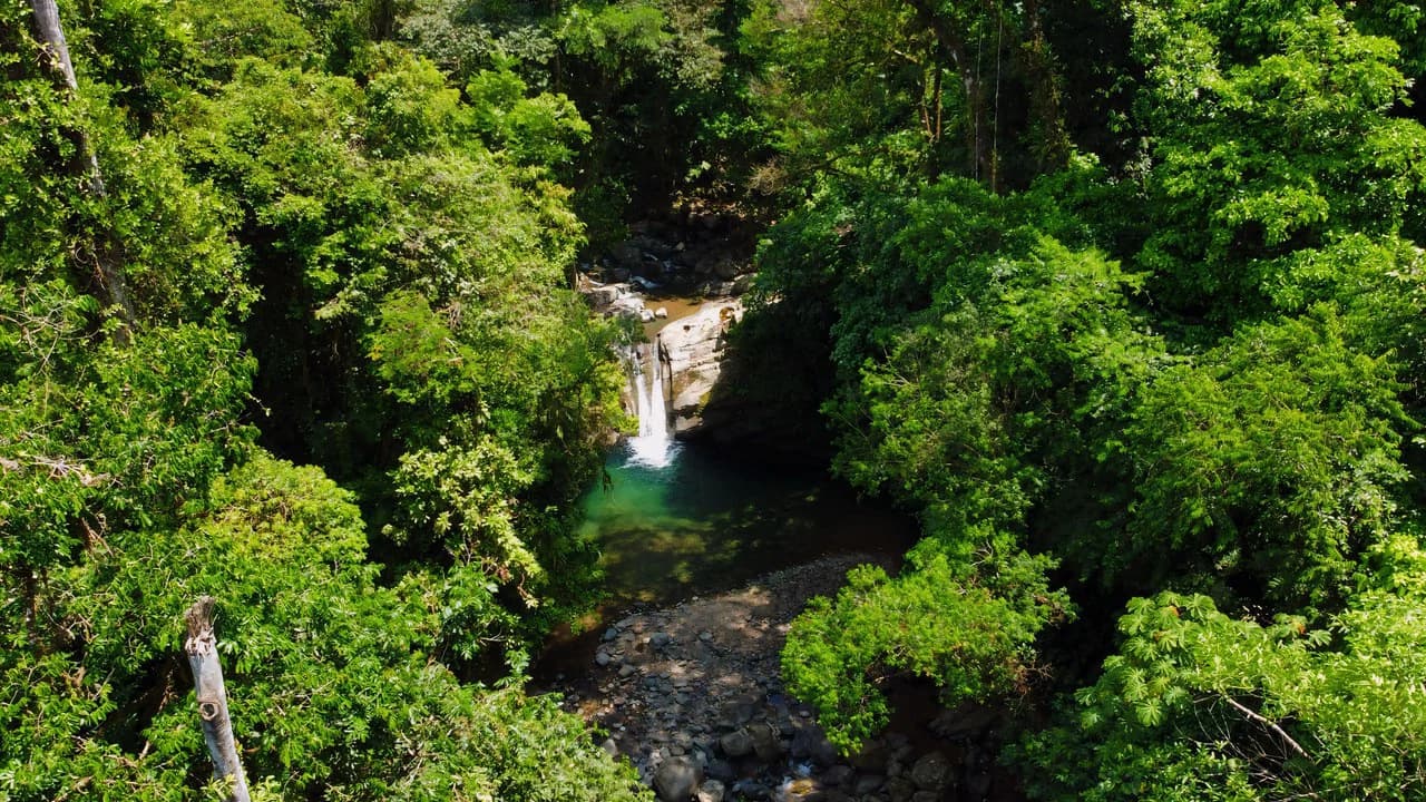 FINCA CERRO DEL TIGRE! OVER 20 ACRES OF PRIMARY FOREST AND WATERFALLS.: Mountain Agricultural Land For Sale in La Unión - photo 21
