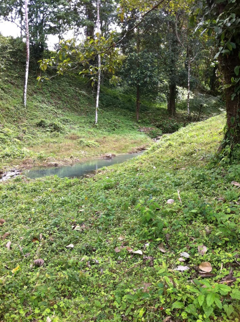 Hot and Cold Thermal Springs for Sale – Beautiful Property in Dos Ríos, Alajuela with Excellent Commercial Potential - photo 88