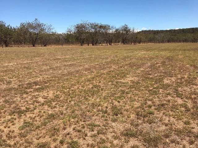 Huge terrain for sale in Guardia close to the International Airport of Liberia - photo 33