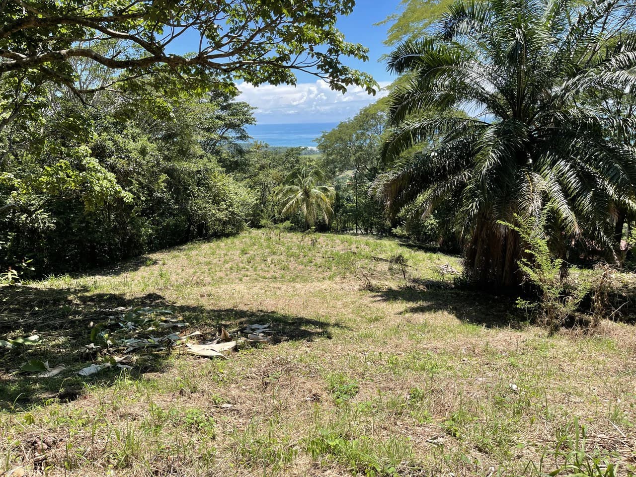 5.4 ACRES – Amazing Ocean View Acreage With Multiple Building Sites And Legal Water!!! - photo 7