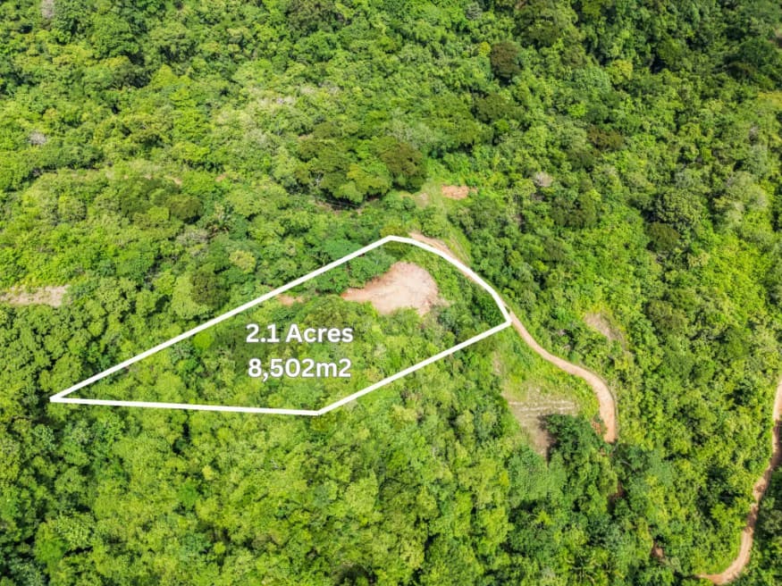 Lote Vista Lapa - 2.1 Acre Ocean View Lot: Countryside Home Construction Site For Sale in Playa Samara - photo 2