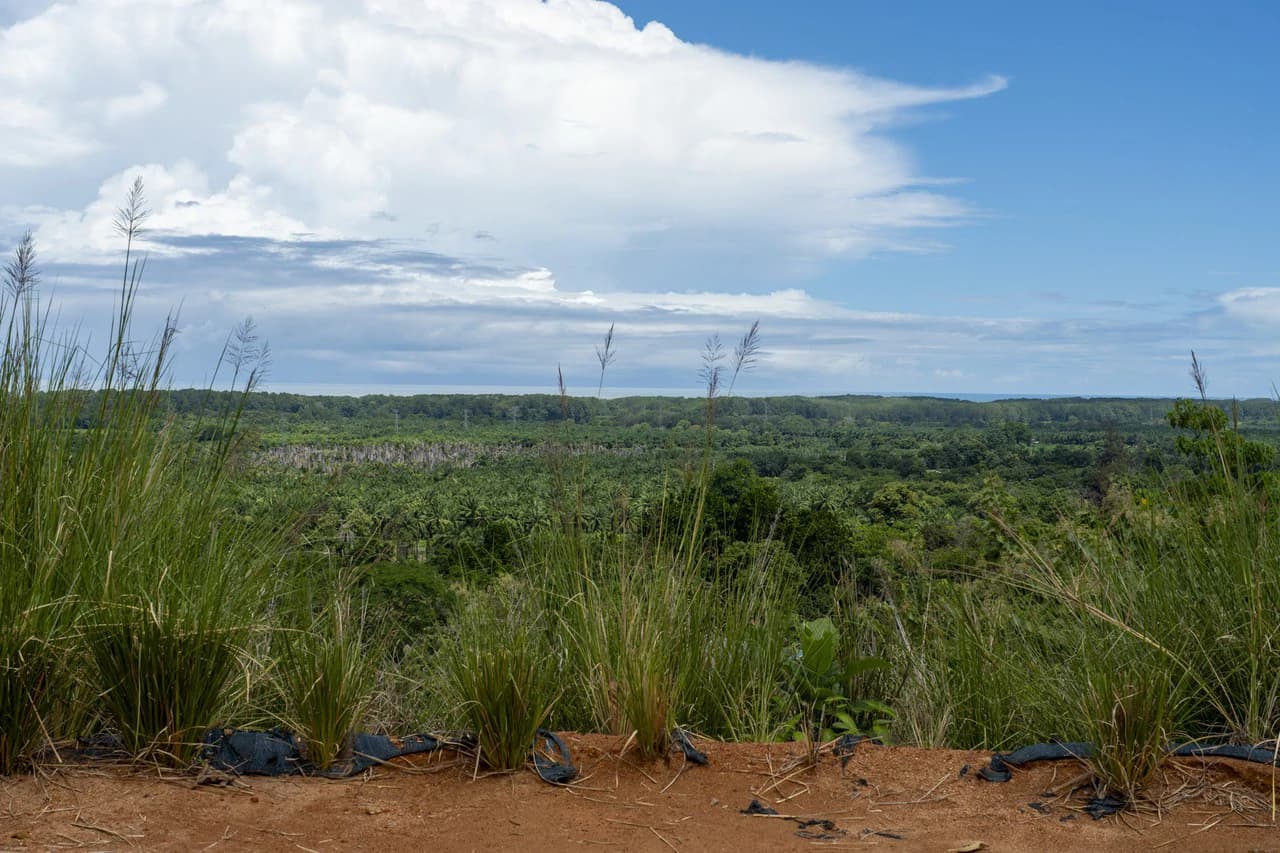New Gated Development in Matapalo - Ocean View and Flat Land, ready to build! - photo 18