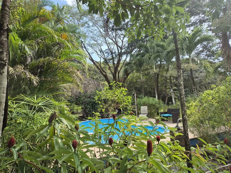 Casas Jungle: Charming Rental Compound with 5 units & pool in the heart of nature, minutes from Samara’s beaches - photo 16