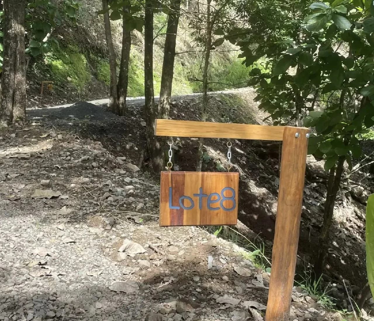 Lot 2: Ocean View Lots for Sale in Sunset Hills, Paquera, Costa Rica - photo 9