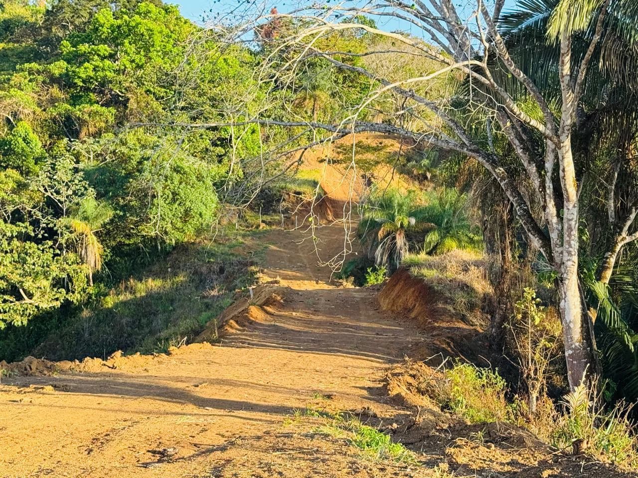 Finca Herradura: 82-Hectare Ocean View Development Land Near Los Sueños, Jacó - photo 11