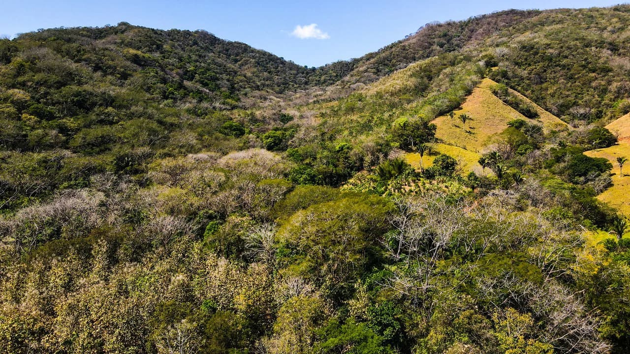 Ocean View Farm for Sale Guanacaste Costa Rica - photo 4