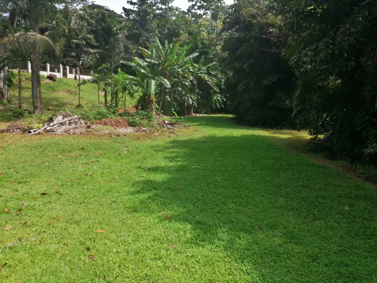 Amazing Home on Huge Lot Near the Beach - photo 40