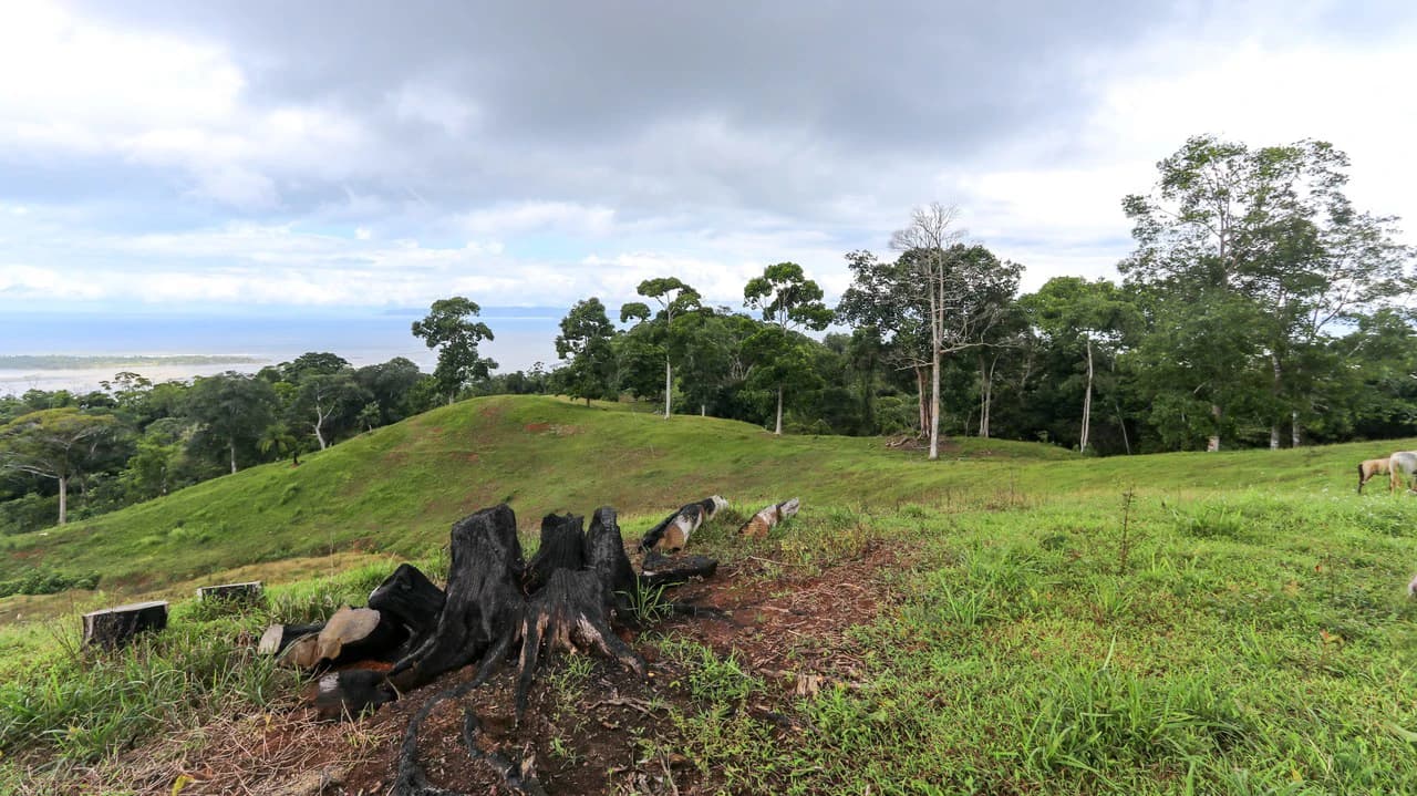 Unique Development Property Overlooking the Pristine Golfito Bay and Golfo Dulce - photo 18