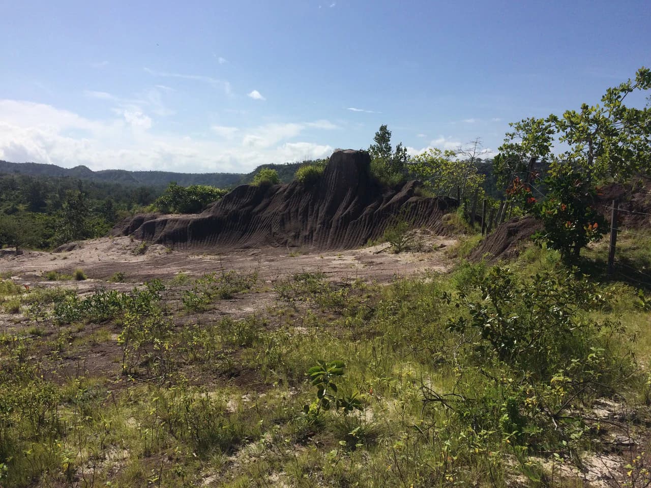 Finca de 31 hectáreas en Liberia: Great investment opportunity - photo 12