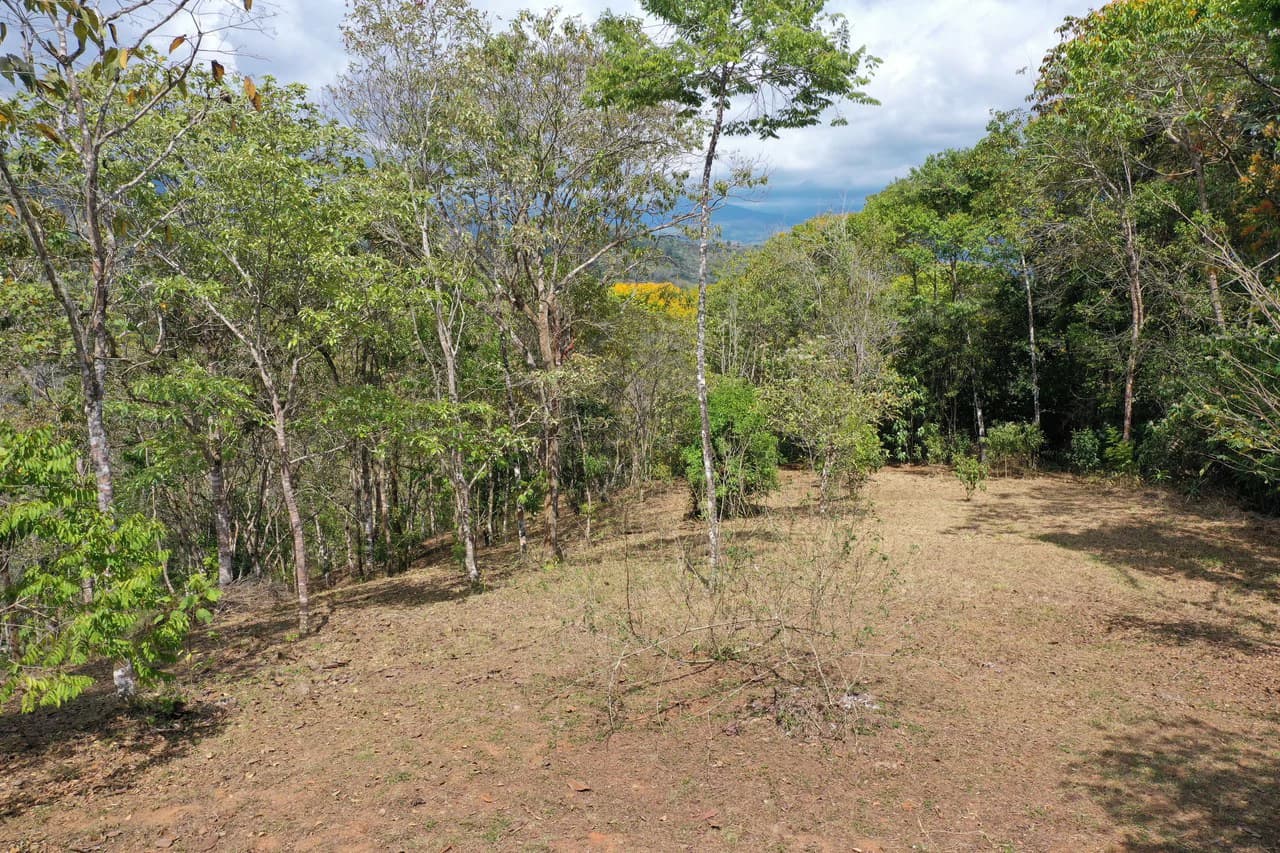 Elevated Two and a Half Acres with Cool Breeze in San Isidro del General - photo 6