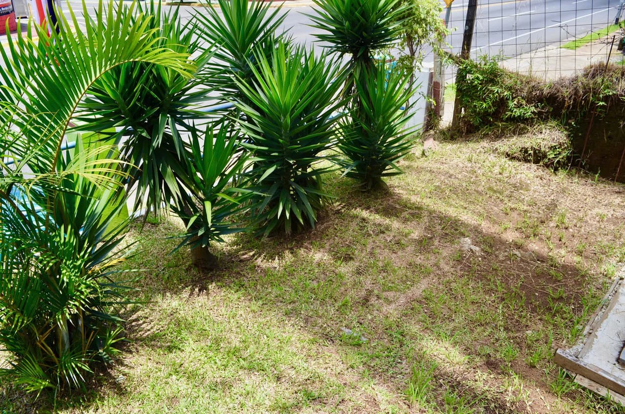 COMERCIAL LOT FOR SALE IN HEREDIA SAN FRANCISCO - photo 9