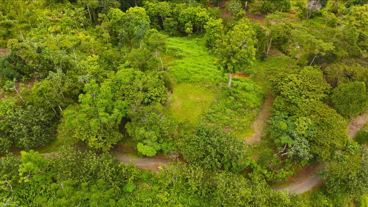 GULF VIEW PROPERTY IN PUERTO JIMENEZ, COSTA RICA - photo 17