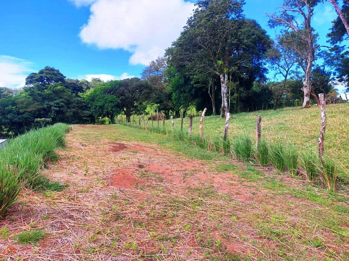 LA CABAÑA - 13+ ACRES & a TINY HOUSE & outstanding VIEWS - REDUCED PRICE - SELLER MOTIVATED - photo 17