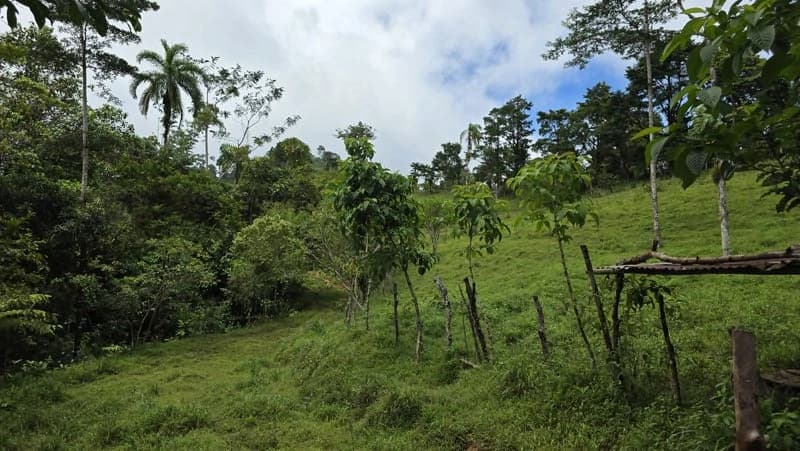 116-Hectare Finca for Sale Near Uvita with Whales Tail Views and 10 Waterfalls | La Faralla, Bahia Ballena, Uvita, Puntarenas, Costa Rica - photo 41