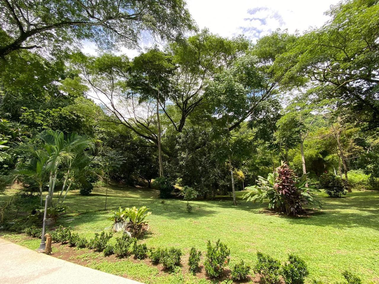 Fire Sale! $495.000 Prime Tourism Potential - photo 9
