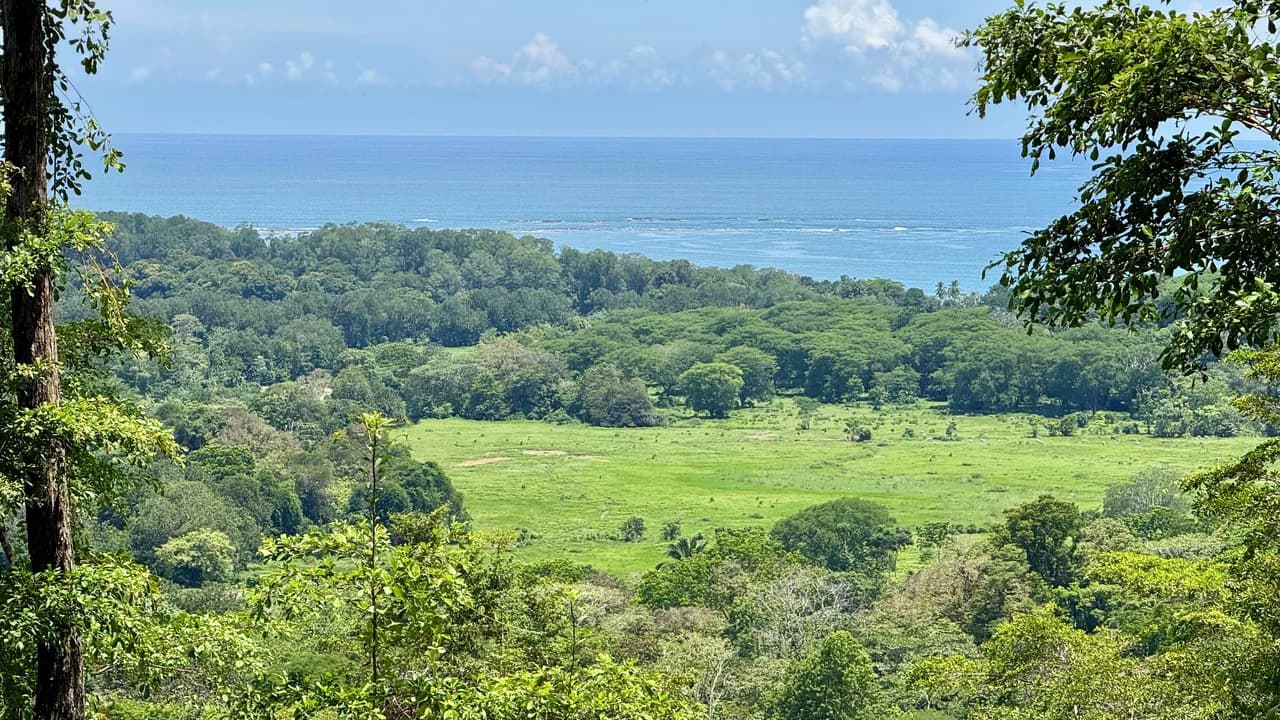 Exclusive and Unique Ocean Views lot in the Hills of Uvita! - photo 8