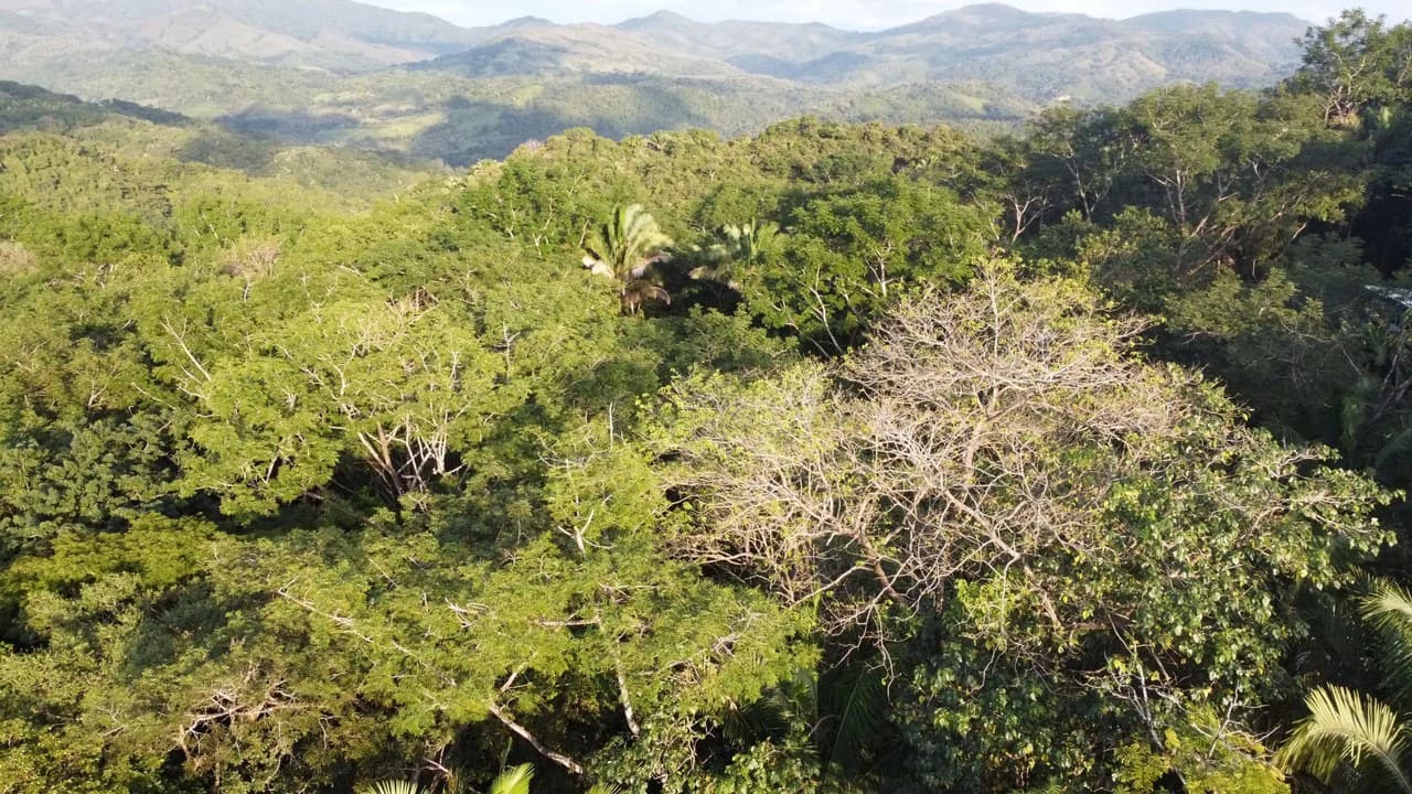 Gated Community Jungle View Lot: Near the Coast Home Construction Site For Sale in Sámara - photo 9