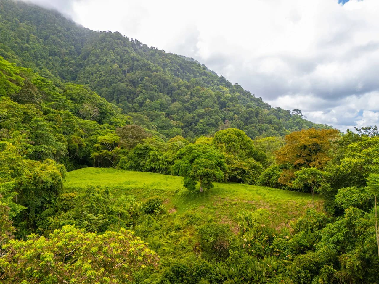 Tropical Paradise in Cascada Sándalo, Tres Ríos Ocean & Mountain Views | Gated Community | Abundant Nature - photo 4