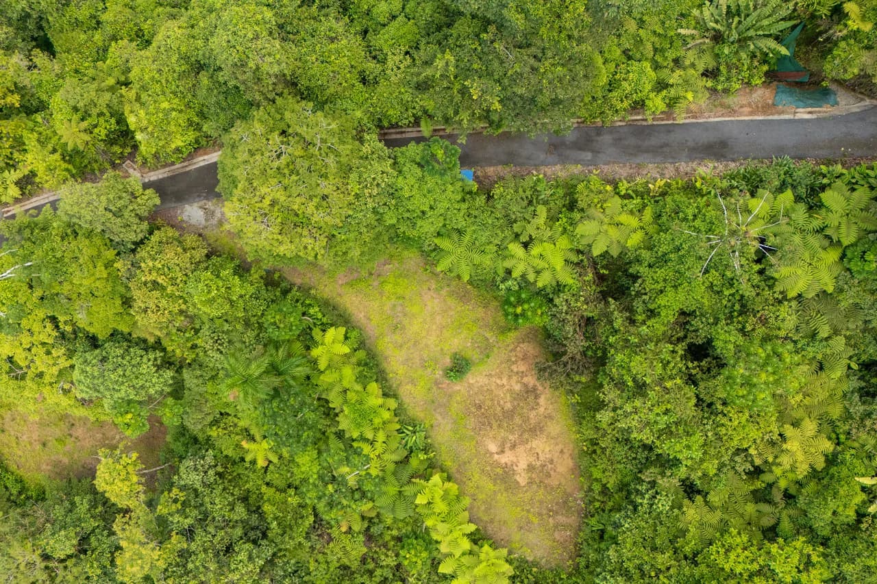 Near the Coast Home Construction Site For Sale in Ciudad Cortés - photo 17