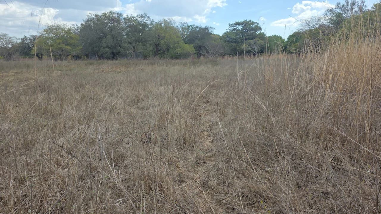 Property for Sale Near Liberia Airport with High Exposure and 60 Meters Frontage on Route 21, with Public Utilities - photo 5