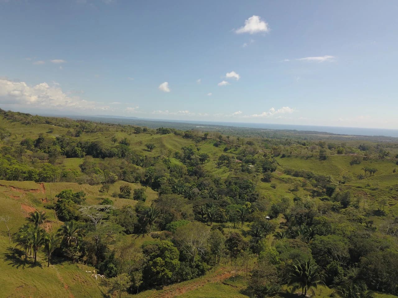 Finca Guapinol de Parrita: Near the Coast, Mountain and Countryside Agricultural Land For Sale in Parrita - photo 4