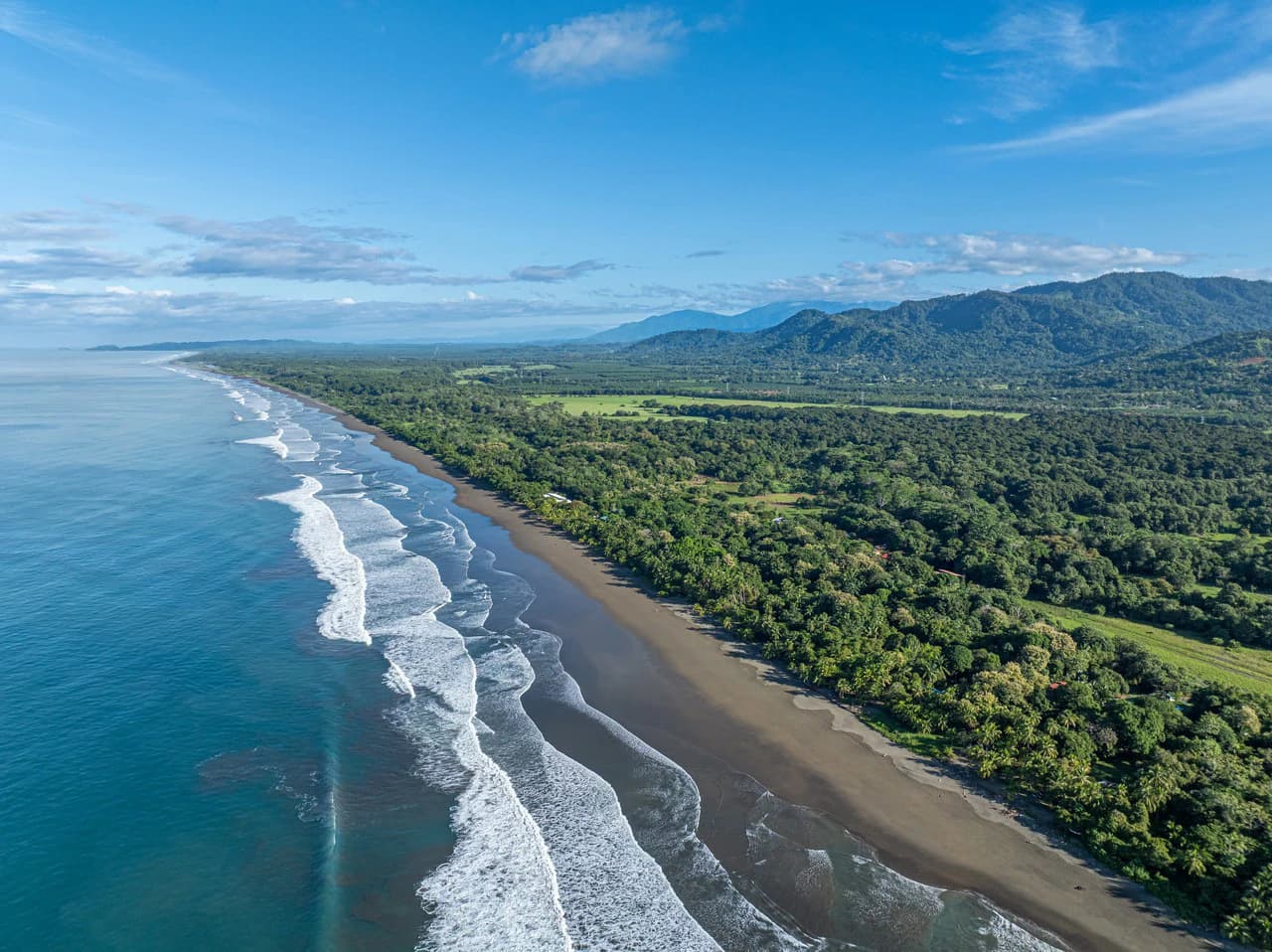 Casa Tortuga: New Home Just 3 Minutes Walk From Playa Matapalo - photo 9