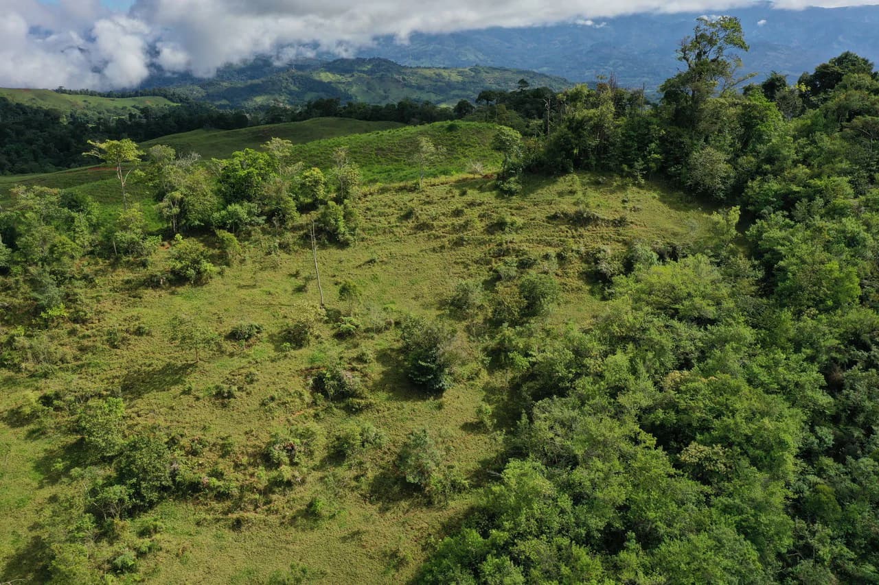 47 Acre Off Grid Ranch with Ocean & Mountain Views San Lorenzo Perez Zeledón - photo 19