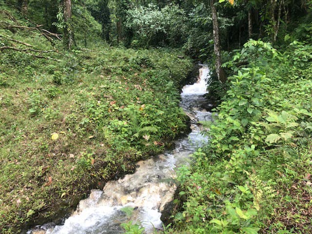 Hot and Cold Thermal Springs for Sale – Beautiful Property in Dos Ríos, Alajuela with Excellent Commercial Potential - photo 14
