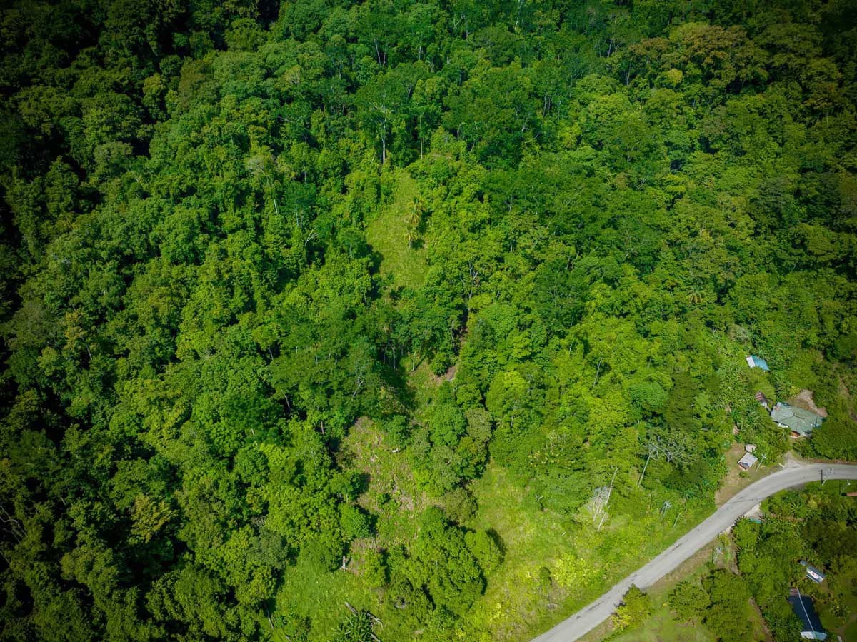 Rincon Mountain Land Gulf View | A Breathtaking Landscapes of Rincon - photo 11