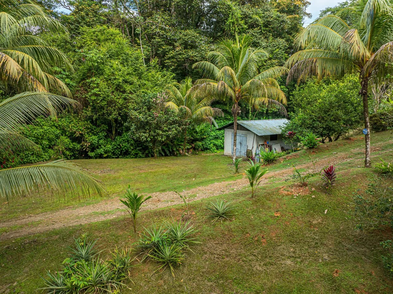Tropical Hideaway – 7 Acres of Secluded Riverfront with a 3-Bedroom Home: Mountain House For Sale in Bahía Ballena - photo 35