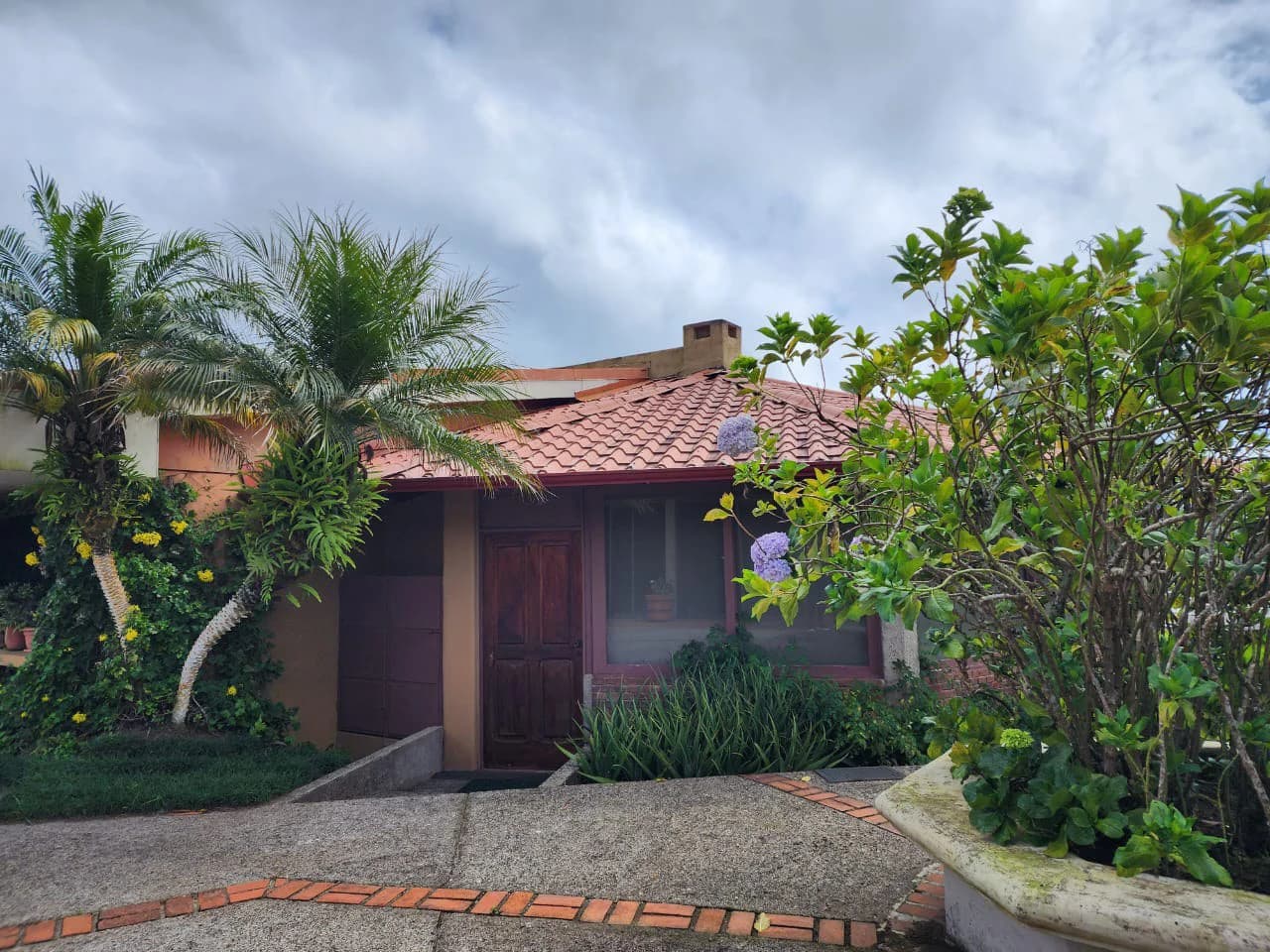 Villa For Sale in San Luis - photo 51