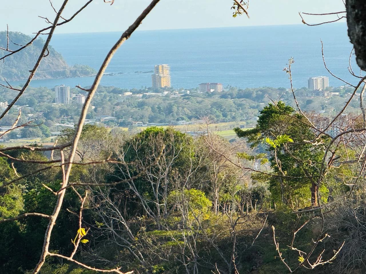 Finca Herradura: 82-Hectare Ocean View Development Land Near Los Sueños, Jacó - photo 6