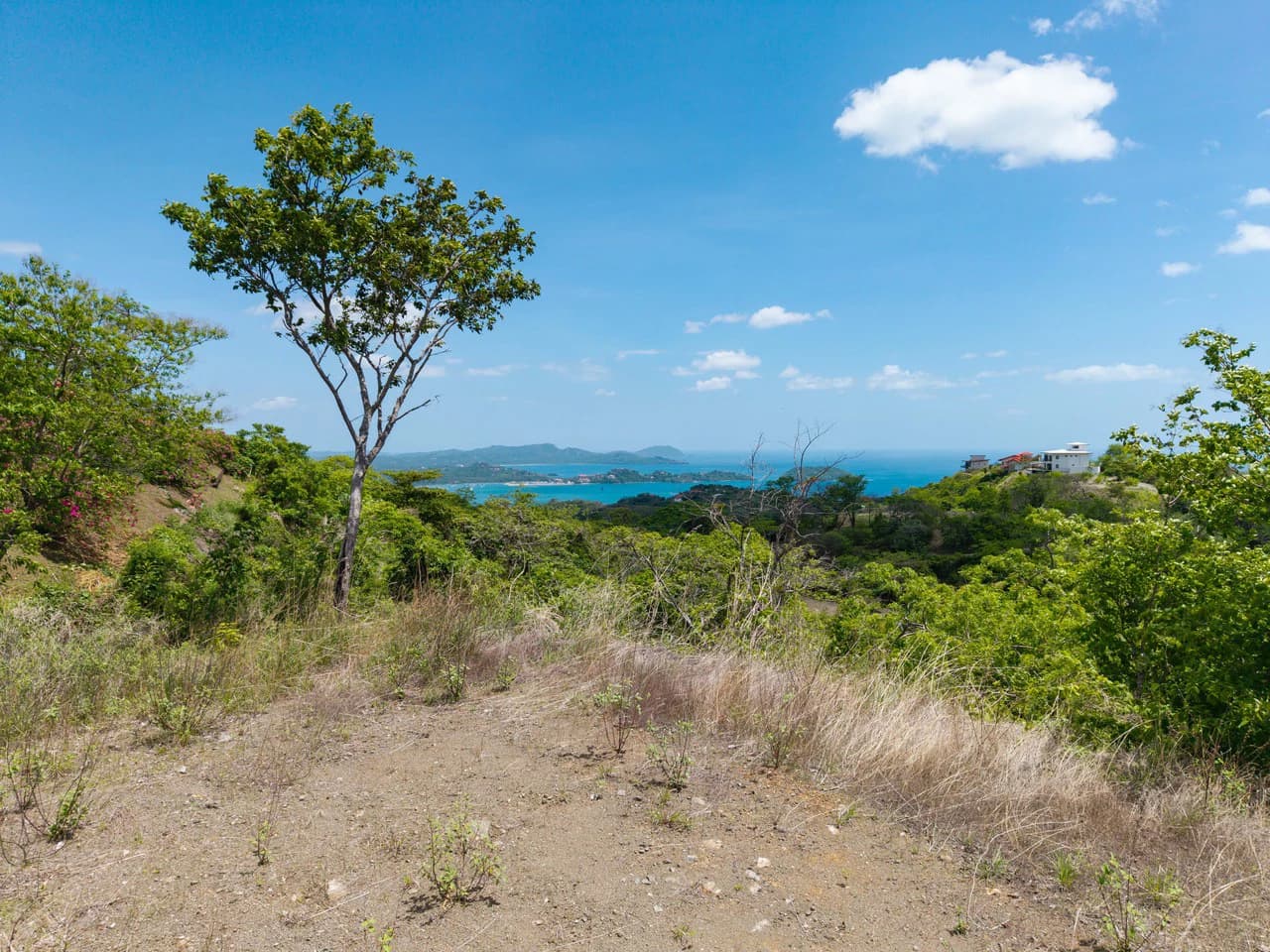 Miramar Ocean View Lot: Unmatched Views from this Spectacular Piece of Land in Pacific Heights - photo 9
