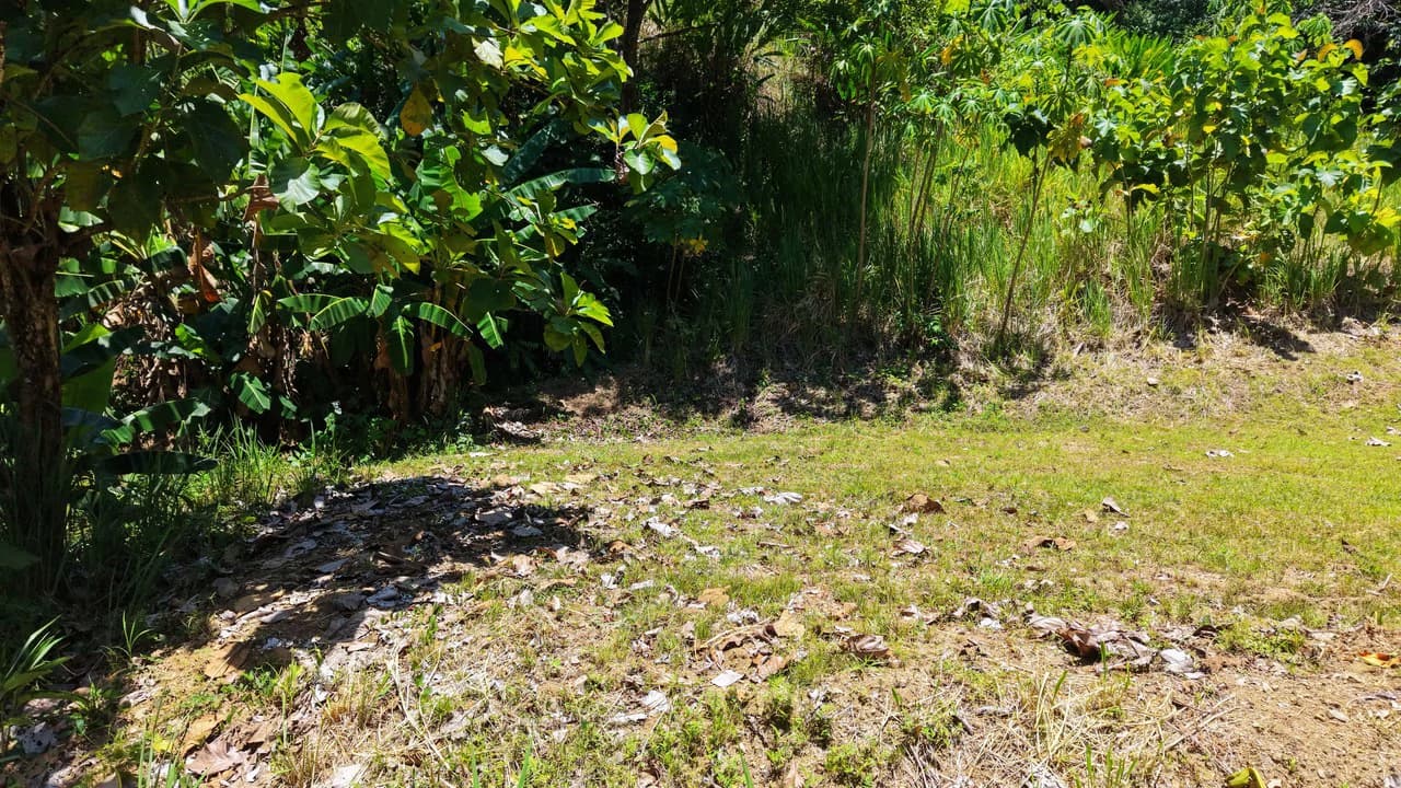 Near the Coast Home Construction Site For Sale in Ciudad Cortés - photo 13