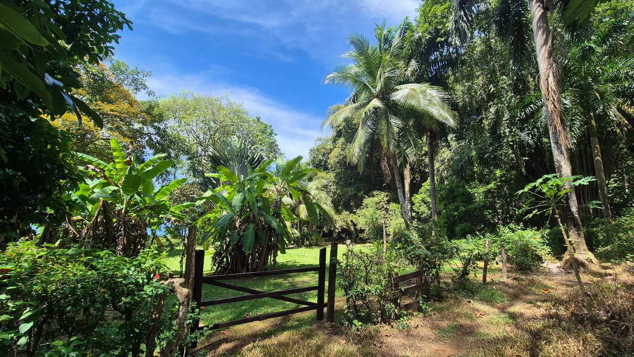 Dream Beachfront Property at Ballena Beach in Uvita, Costa Rica - photo 4